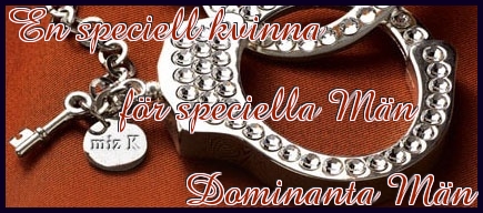 miz k´s banner